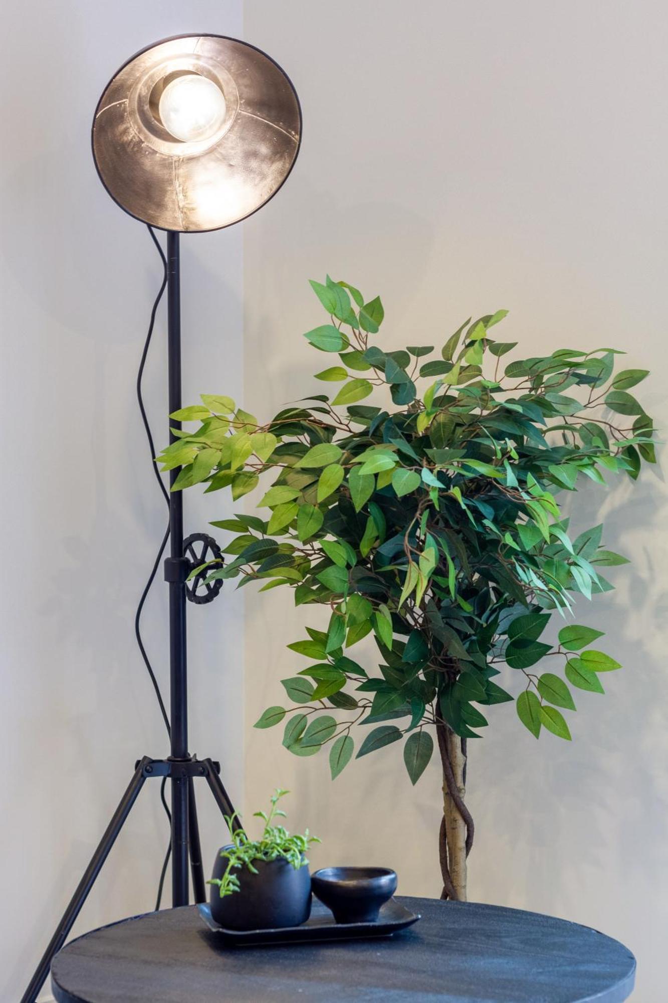 Merivale Gem: 2Br Townhouse Oasis Christchurch Eksteriør bilde